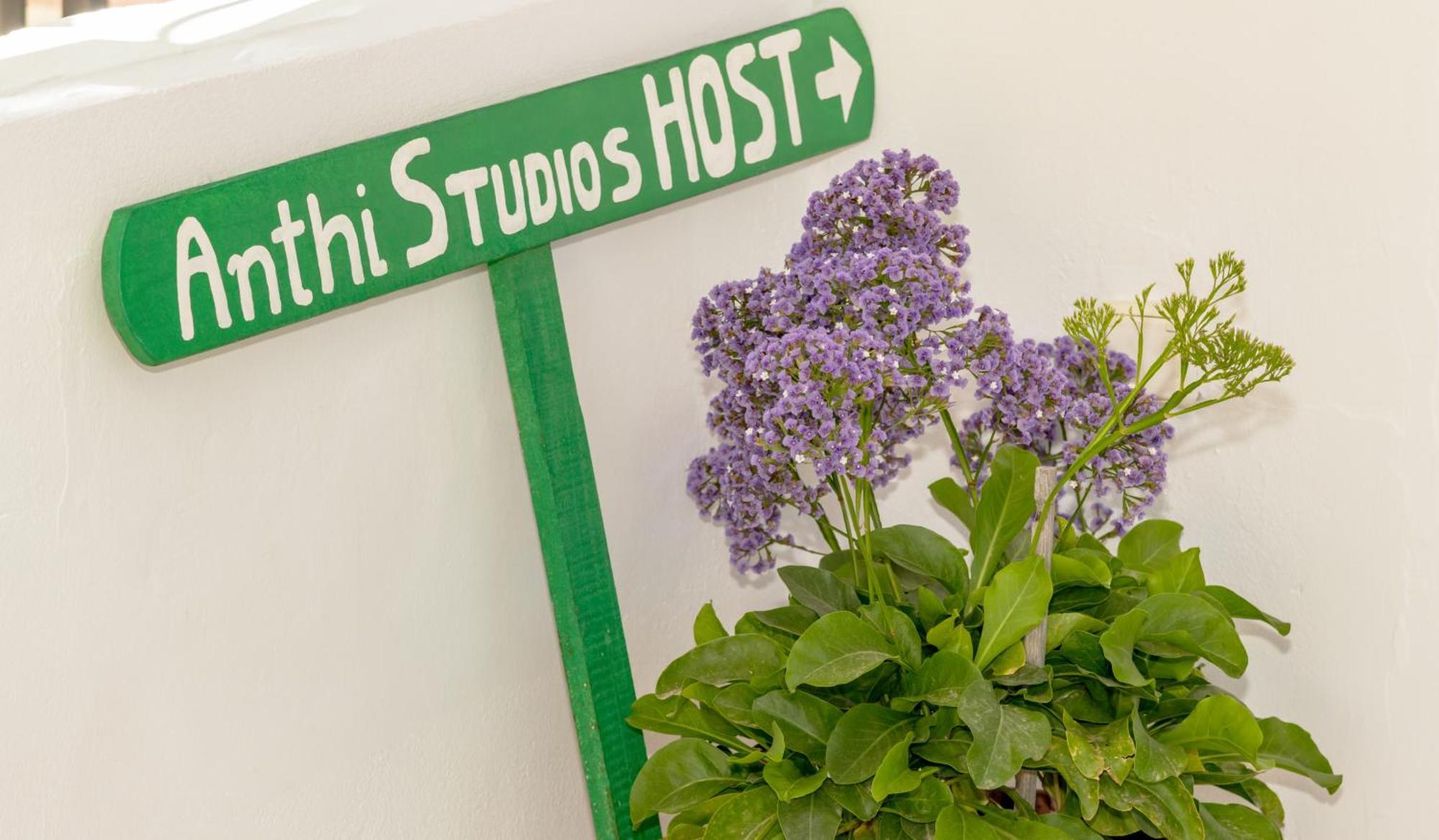 Anthi Studios & Apartments Alykes  Luaran gambar