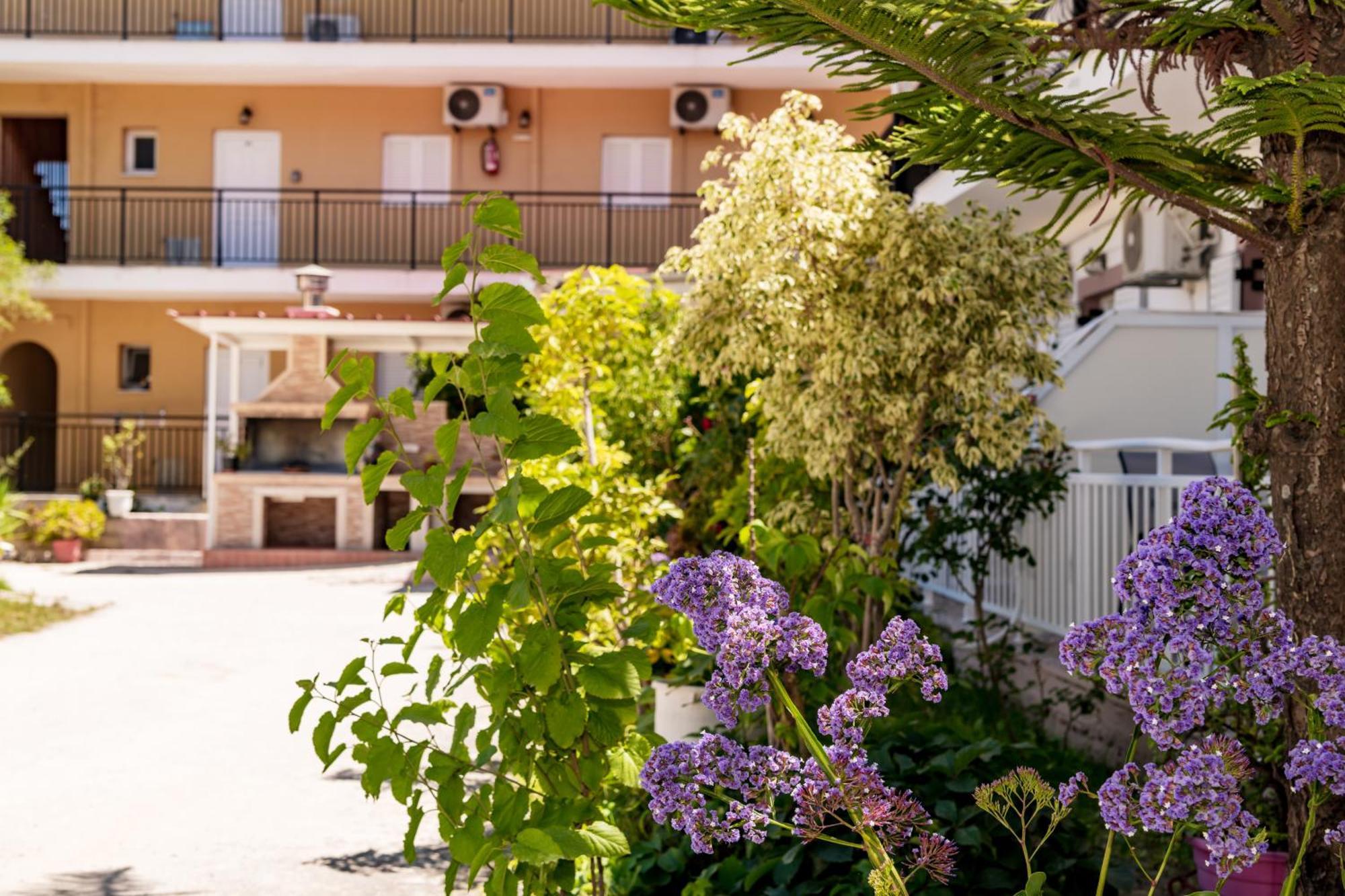 Anthi Studios & Apartments Alykes  Luaran gambar