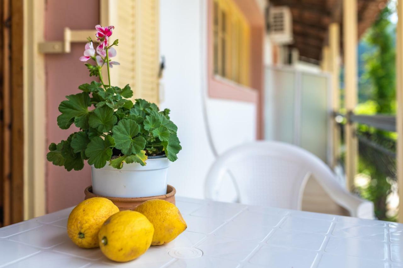 Anthi Studios & Apartments Alykes  Luaran gambar